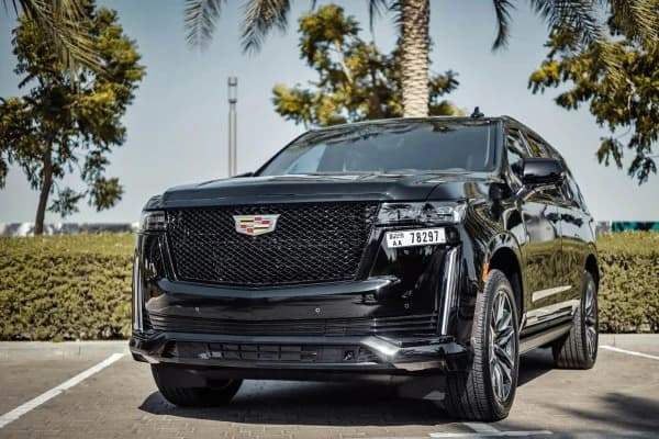 Black Cadillac Escalade from the Apex Limo luxury fleet parked among palm trees in Dubai